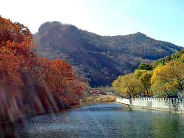 新澳天天开奖资料大全旅游团，恐怖太平间